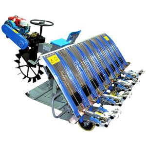 Paddy transplanter