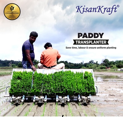 Paddy transplanter