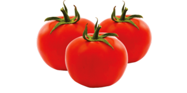 TOMATO - KisanKraft