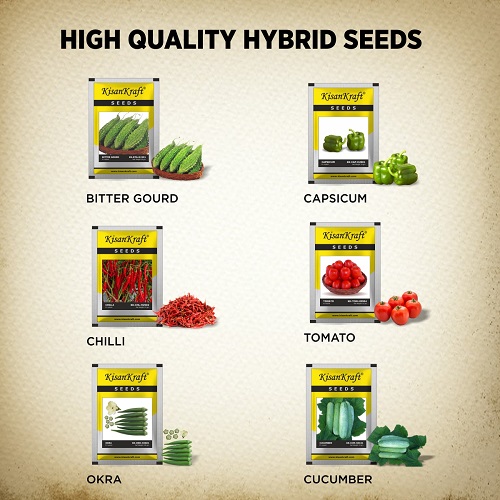 Hybrid seeds
