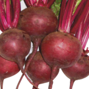 Beetroot