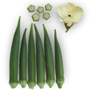 okra