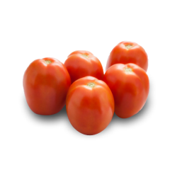 TOMATO KK-TOM-H5904